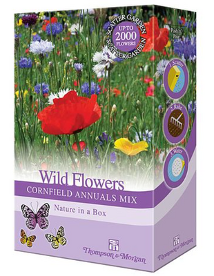 Wild Flowers Cornfield Annuals Mix