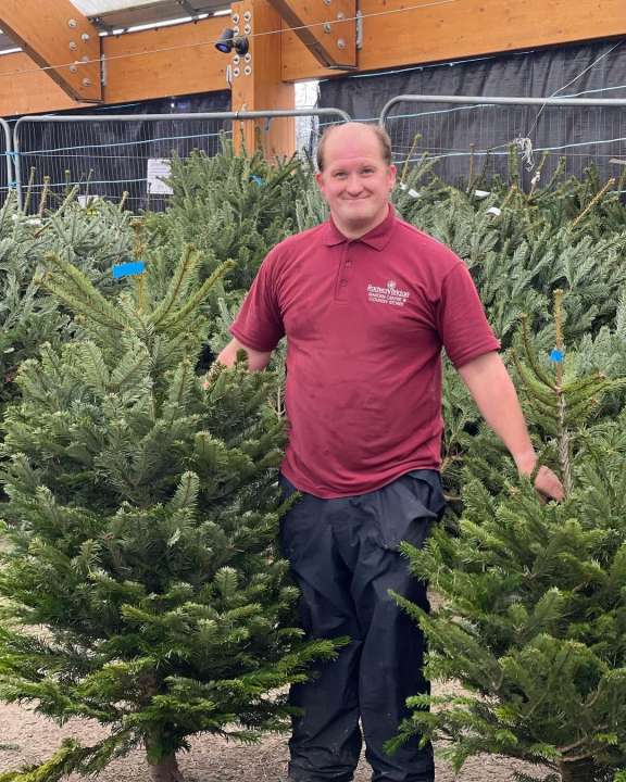 Buy Christmas tree at Radway Bridge Garden Centre xmas