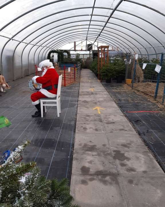 Radway Bridge Garden Centre buy Christmas tree xmas
