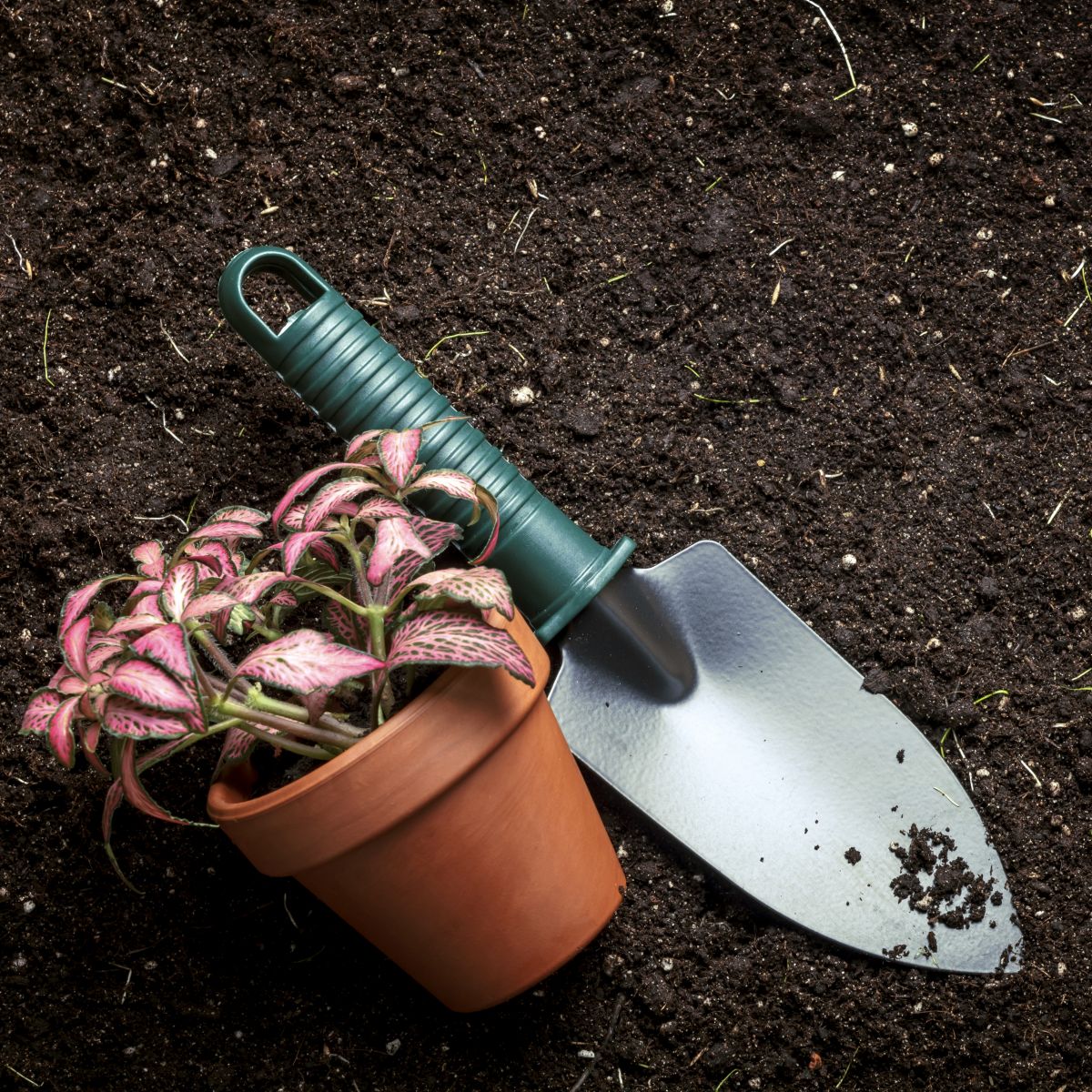 Hereford Garden Tools