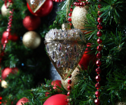 Christmas Preview Night