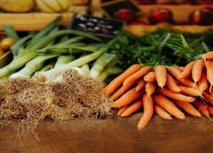 Growing your own vegetable - By Quantil - Friday 11th March