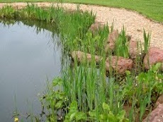 Living Landscapes Living Landscapes