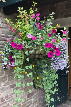 Hanging Basket & Container Workshop - Tuesday 26th April
