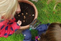 Sowing bulbs with little gardeners - Wednesday 24th August