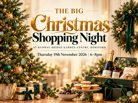 The Big  Christmas Shopping Night at Radway Bridge Garden Centre