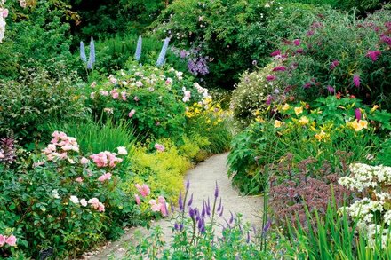 Trees and shrubs for year-round colour and interest - Wednesday 26th October