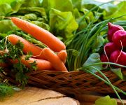 Vegetable Clinic