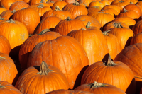 Grab the garlic and start carving your pumpkins – it's time for Hallowe'en!