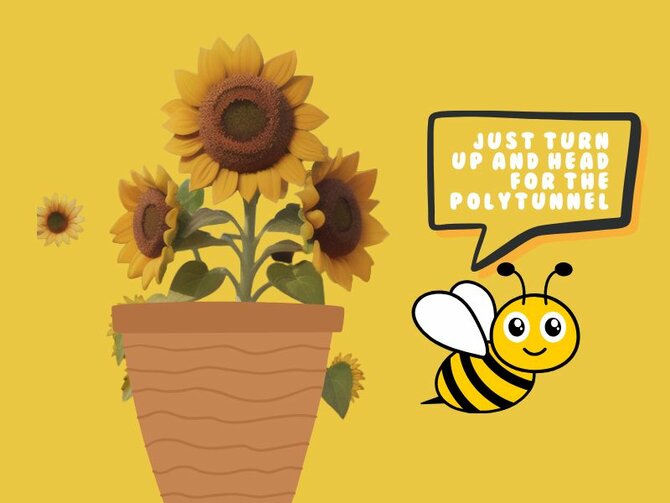 Half-Term Fun: Plant a Sunflower – Free Activity for Kids