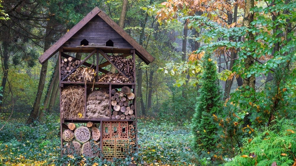 How Do You Install an Insect Hotel?  