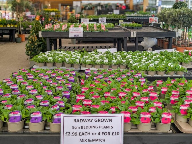 March Plant Offers and HIghlights