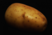 Happy National Potato Day!
