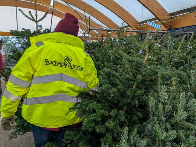The Christmas Trees Have Arrived… from our Champion Local Grower