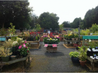 Radway Bridge Garden Centre