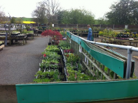 Radway Bridge Garden Centre