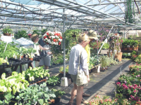 Radway Bridge Garden Centre