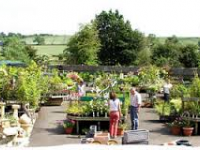 Radway Bridge Garden Centre