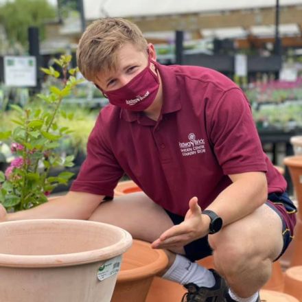 Radway Bridge Garden Centre