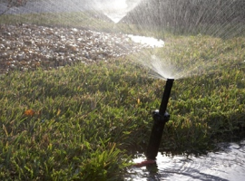 Automatic watering