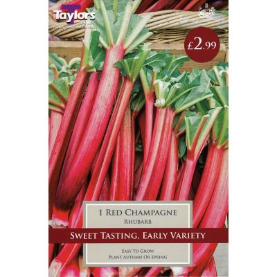 1 RHUBARB RED CHAMPAGNE