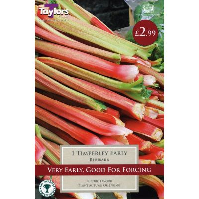 1 RHUBARB TIMPERLEY EARLY