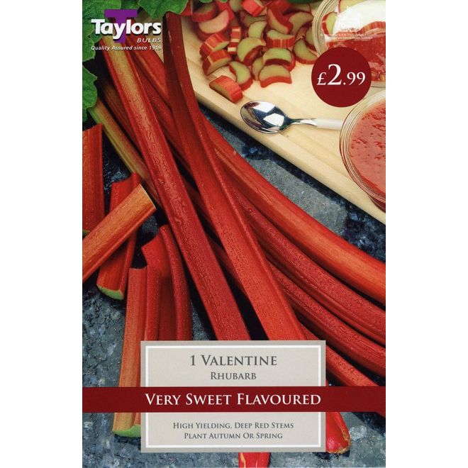 1 RHUBARB VALENTINE