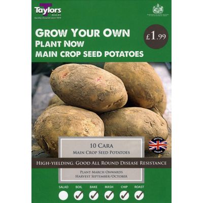 10 CARA POTATOES 35-45
