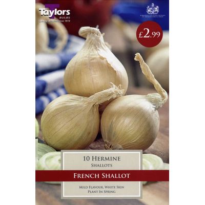 10 FRENCH SHALLOT HERMINE 15-35