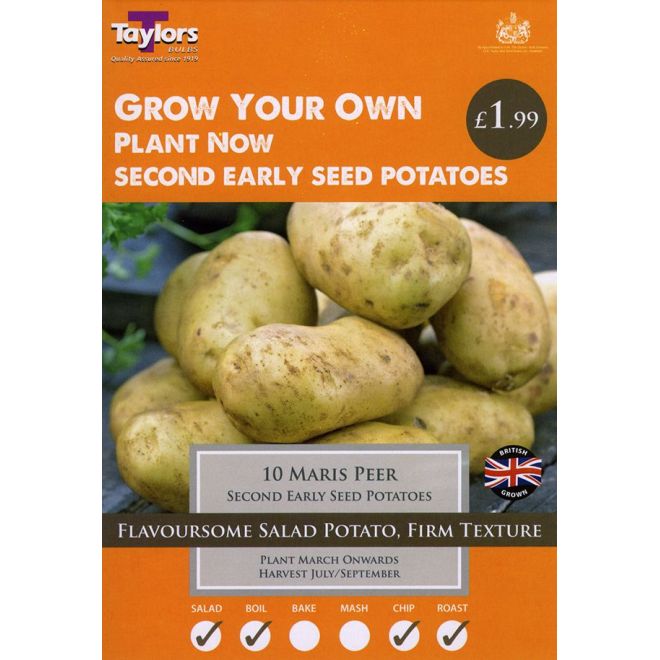 10 MARIS PEER POTATOES 35-45