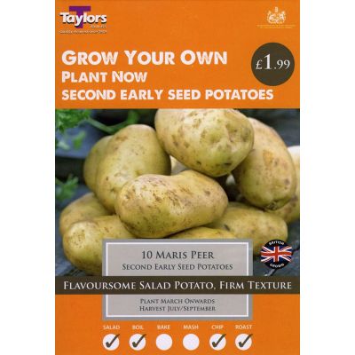 10 MARIS PEER POTATOES 35-45