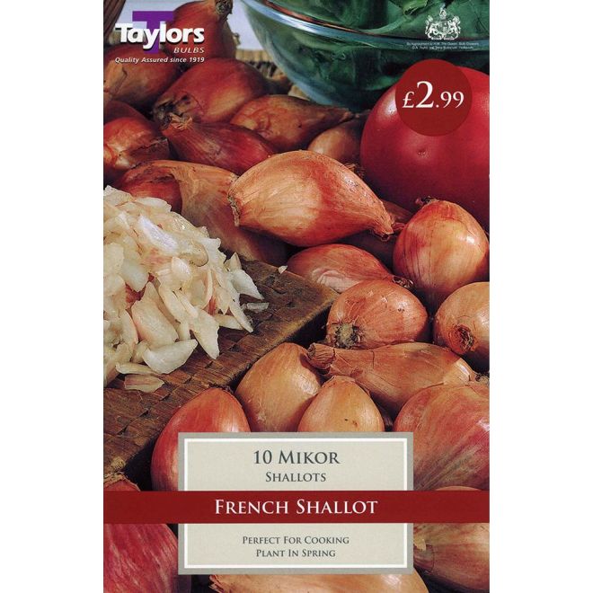 10 MIKOR FRENCH SHALLOT 15-40