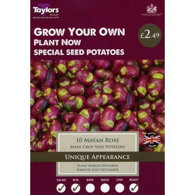 10 POTATO MAYAN ROSE 35-45