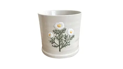 16CM DAISY POT