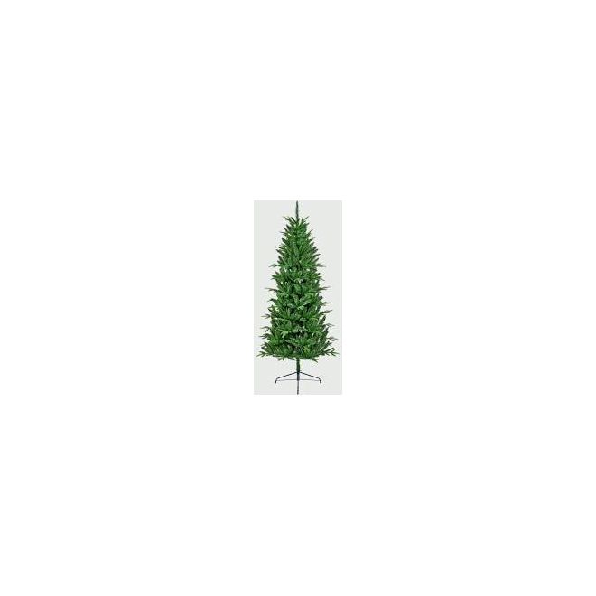 2.1M  Aspen Fir