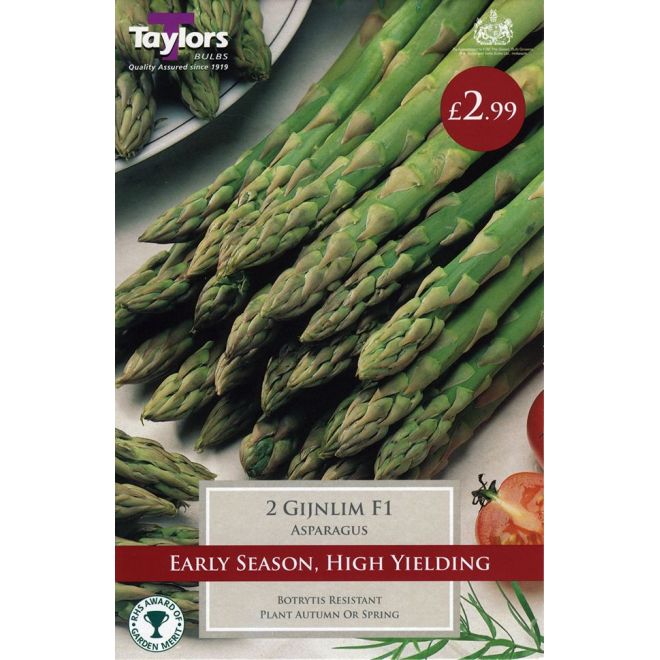 2 ASPARAGUS GIJNLIM F1