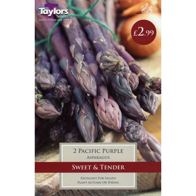 2 ASPARAGUS PACIFIC PURPLE