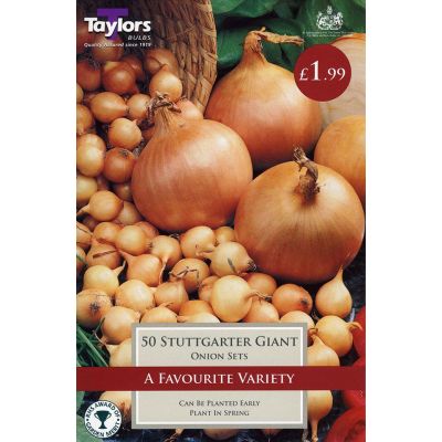 50 ONION STUTTGARTER GIANT 14-21