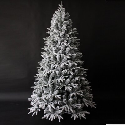 7Ft FROSTED MCKINLEY SPRUCE