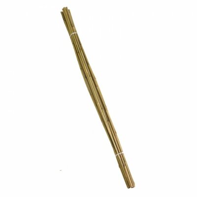 Bamboo Canes 120 cm bundle of 20