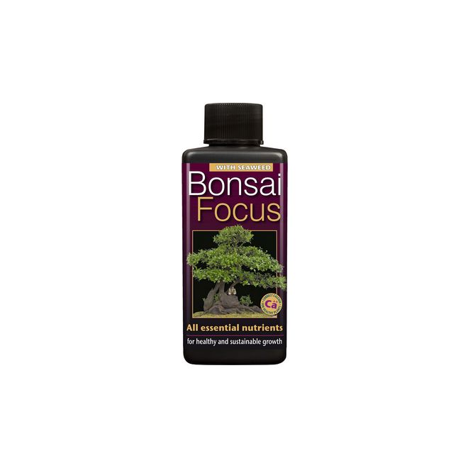 Bonsai Focus 100ml