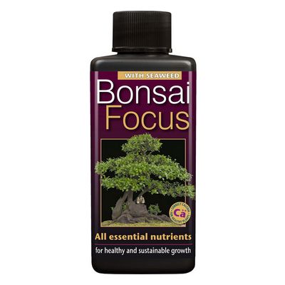 Bonsai Focus 100ml