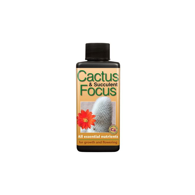 Cactus & Succulent Focus 300ml