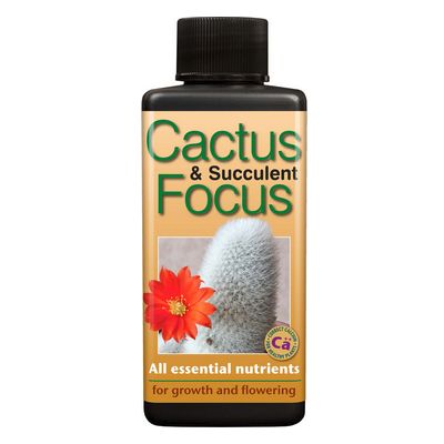 Cactus & Succulent Focus 300ml