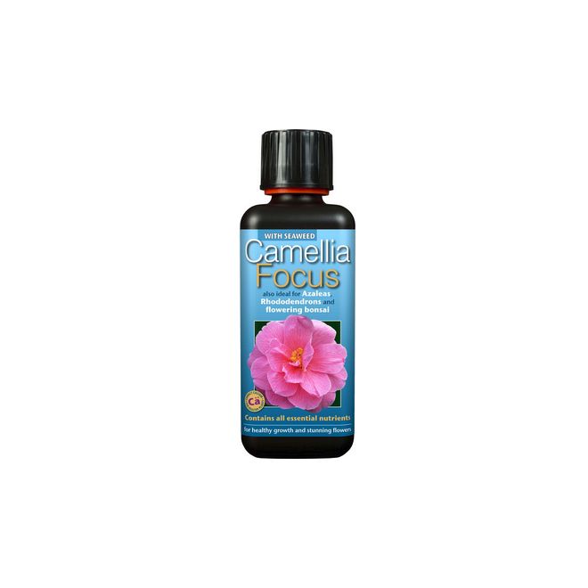 Camellia Focus 300ml