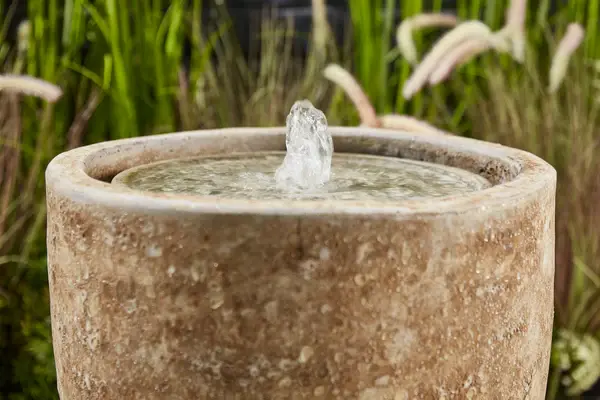 Camille Stone - image 3