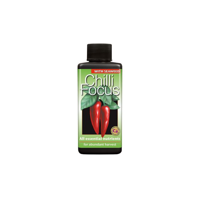 Chilli Focus 100ml