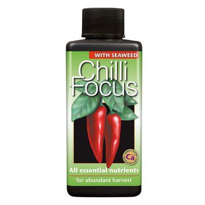 Chilli Focus 100ml