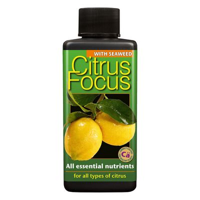 Citrus Focus 100ml