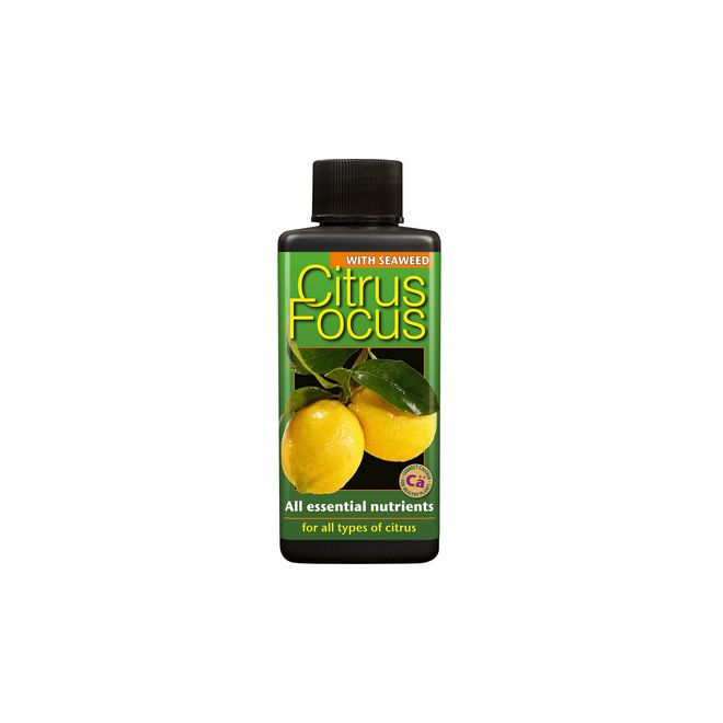 Citrus Focus 300ml